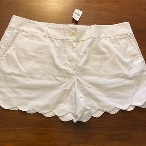 NWT Loft White Scalloped Hem Shorts Medium Rise Cotton SZ 14